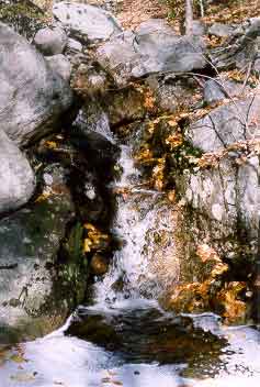 Amber Falls