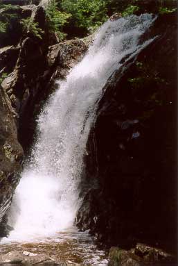 Campbell Falls