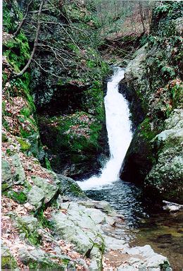 Picture of Indian Well Falls - Shelton, CT