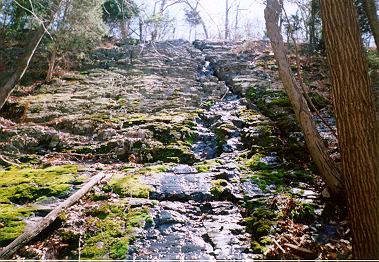 Mount Carmel Spring Falls